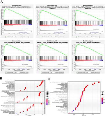 Critical role of guanylate binding protein 5 in tumor immune microenvironment and predictive value of immunotherapy response